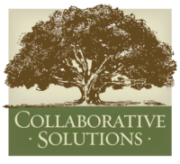 Collaborative Solutions company logo